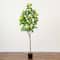 6ft. Potted Flowering Citrus Tree with Real Touch Leaves